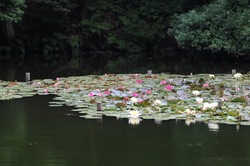 IMG_0120 (1).jpgのサムネール画像